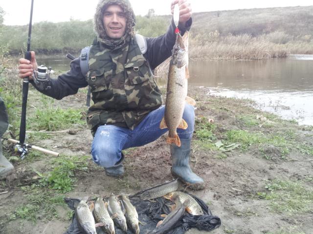 tancabesti - 20121114151128.jpg